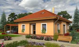 House project with habitable attic space and ground floor room.